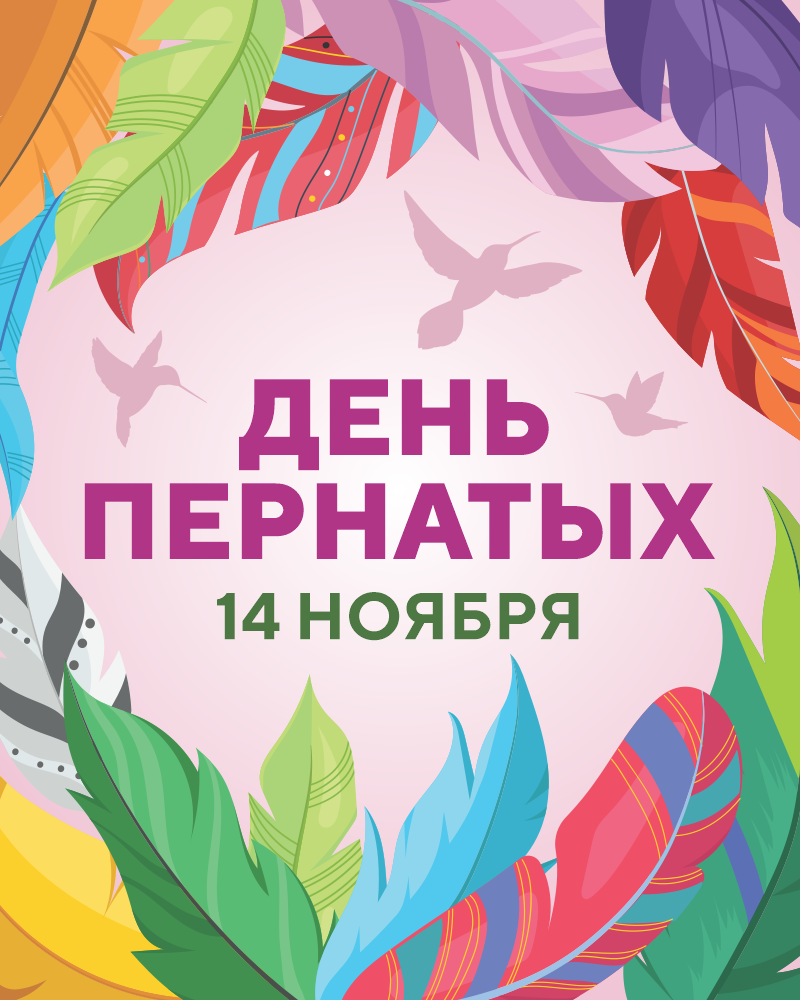 День пернатых
