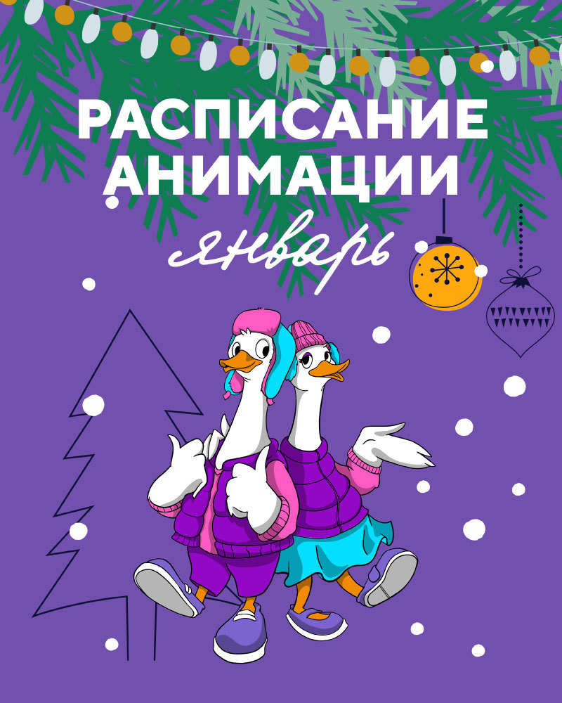 Анимация 9 – 31 января