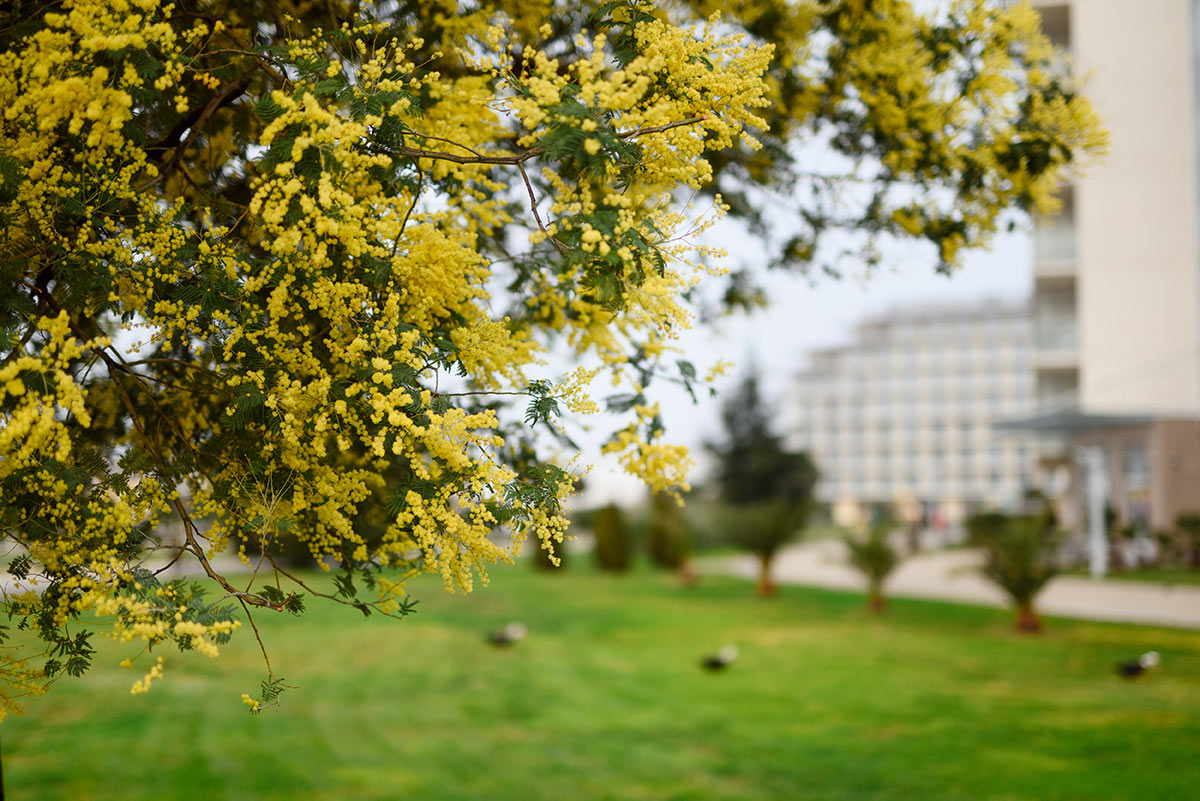 Международный День Земли 2026